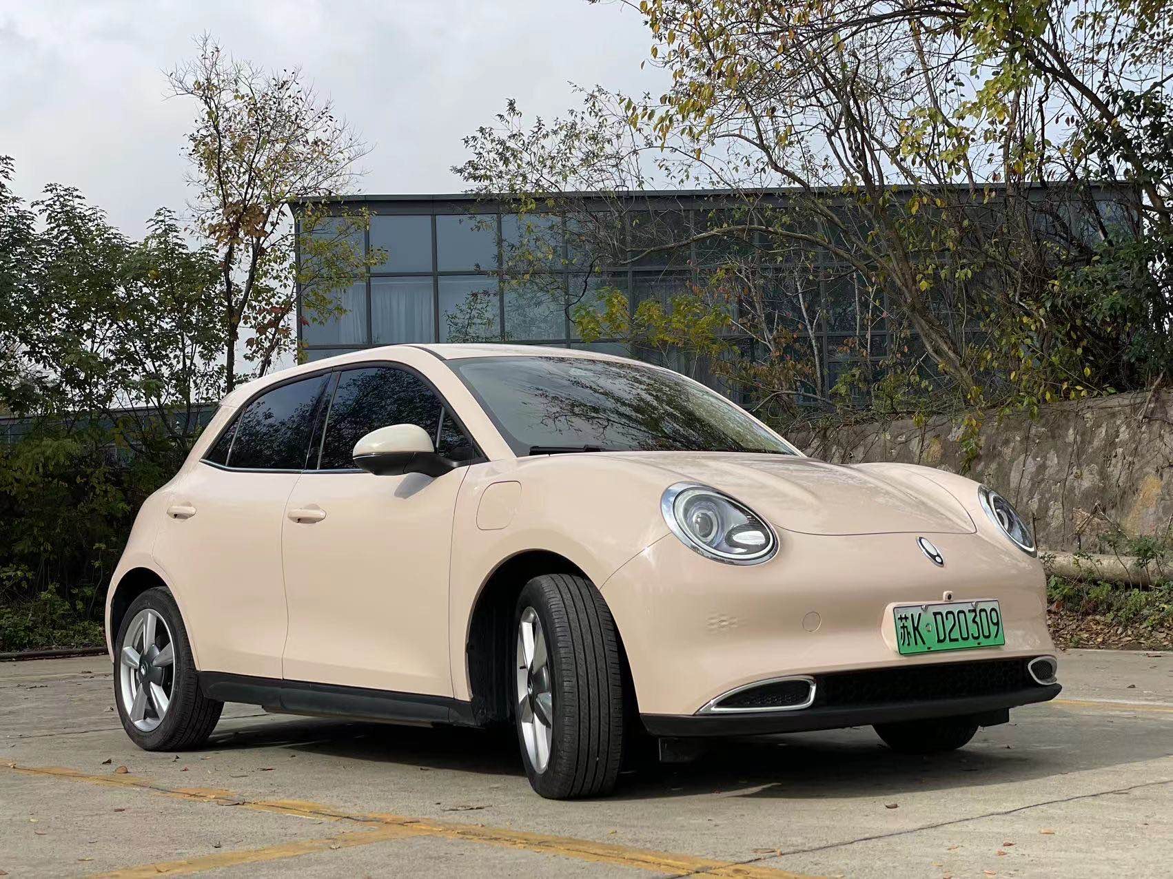 欧拉2021款 欧拉好猫 400km标准续航 维纳斯版 三元锂,二手车,南京